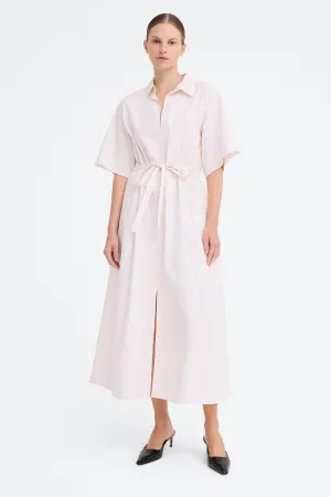 Zinc Dress Dore